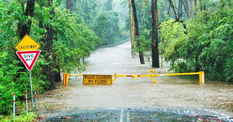 Unsplash/Phillip Flores